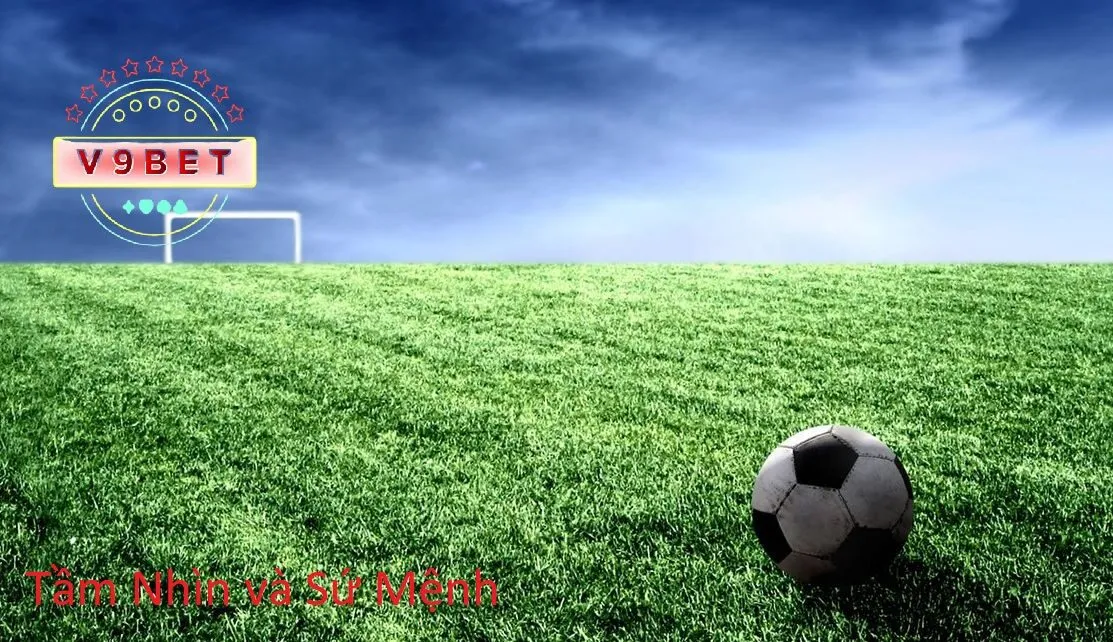 soccer field